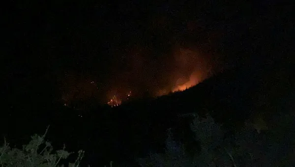 hataydaki-orman-yangini-kontrol-altina-alindi-1605819930159.jpg Hatay'daki orman yangını kontrol altına alındı-3