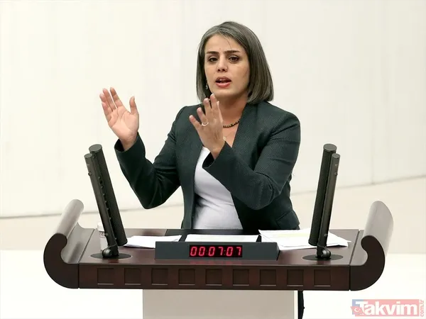 TBMM'de kadın vekillerin şıklık yarışı! HDP'li isimden sinsi mesaj: Meral Danış Beştaş yılan kolyesi taktı - 24