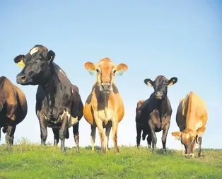 Kesim süresi 1 saati geçmesin