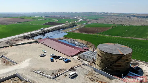 Edirne'de çevre katliamı! Tonlarca fuel oil 30 dekar alana ve dere yatağına yayıldı - 29