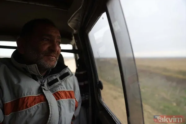 Günlük 900 lira kazanıyorlar! Türkiye'nin birçok ilinden toplanan kurbağalar Avrupa'ya ihraç ediliyor - 46