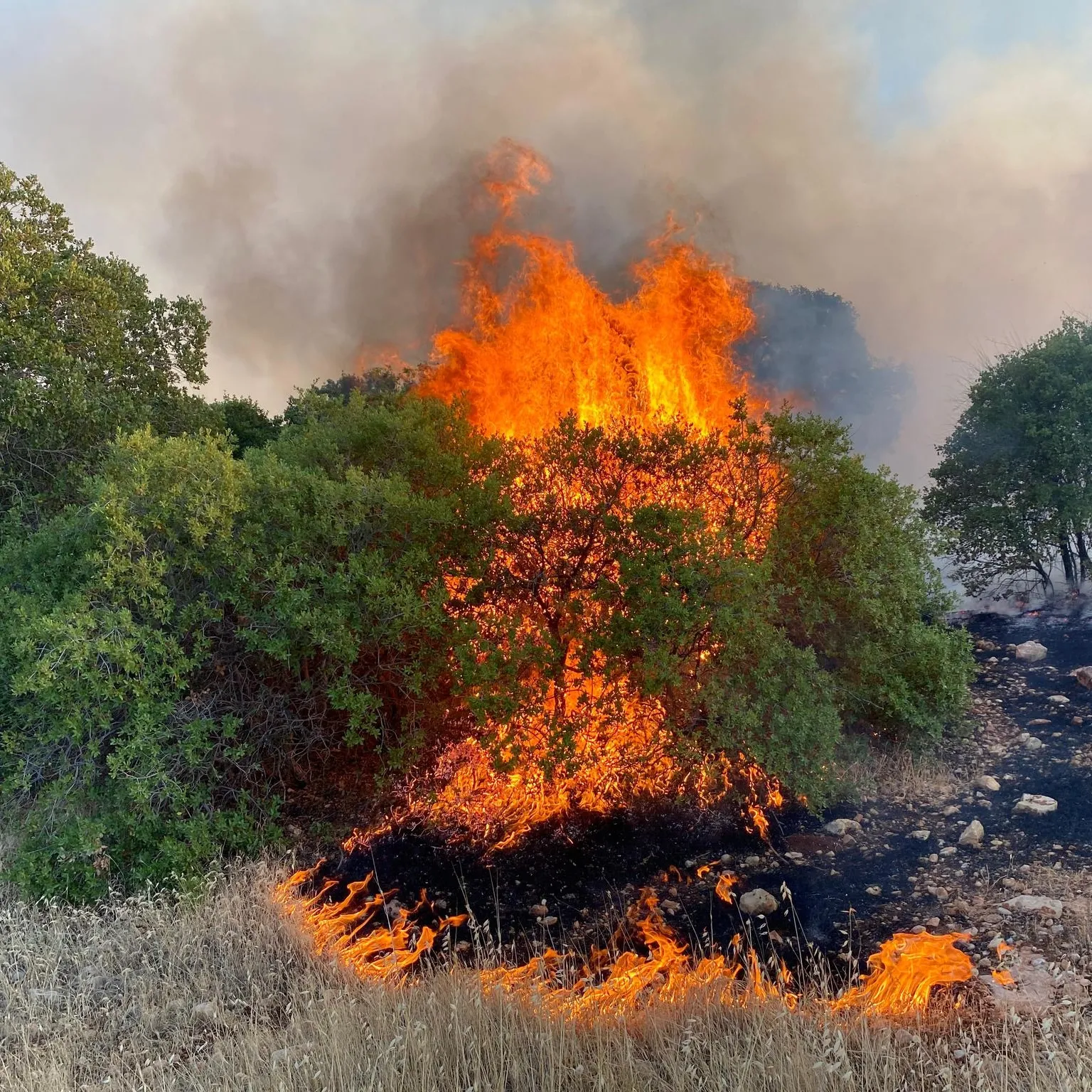 Gaziantep’te yangın!