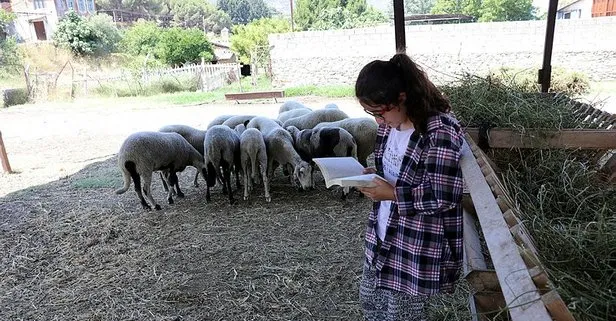 Çoban kızın kitap sevgisi dikkat çekti... Fen lisesi öğrencisi Suzan’a Türkiye’den kitap yağdı
