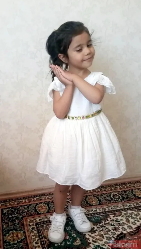 Köpek saldırısından nasıl korunabiliriz? Asiye'ye saldıran pitbull köpekleri gündem olmuştu! Bunları kesinlikle yapmayın - 5