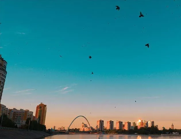 Kuş gribi görülmeyen ülke Kazakistan