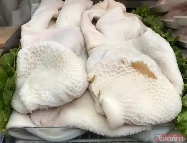 Hem gençleştiriyor hem de kanserin önüne set çekiyor bulduğunuzda kaşık kaşık yiyin! Gecelerin yargıcı olarak biliniyor - 11