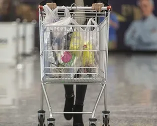 3 Ocak 2020 TEFE TÜFE enflasyon oranı rakamları nedir?