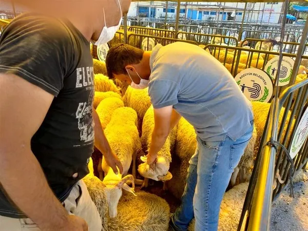 Dikkat! Sakın bunları yapmayın! Sağlık Bakanlığı'ndan Kurban Bayramı uyarısı!-6