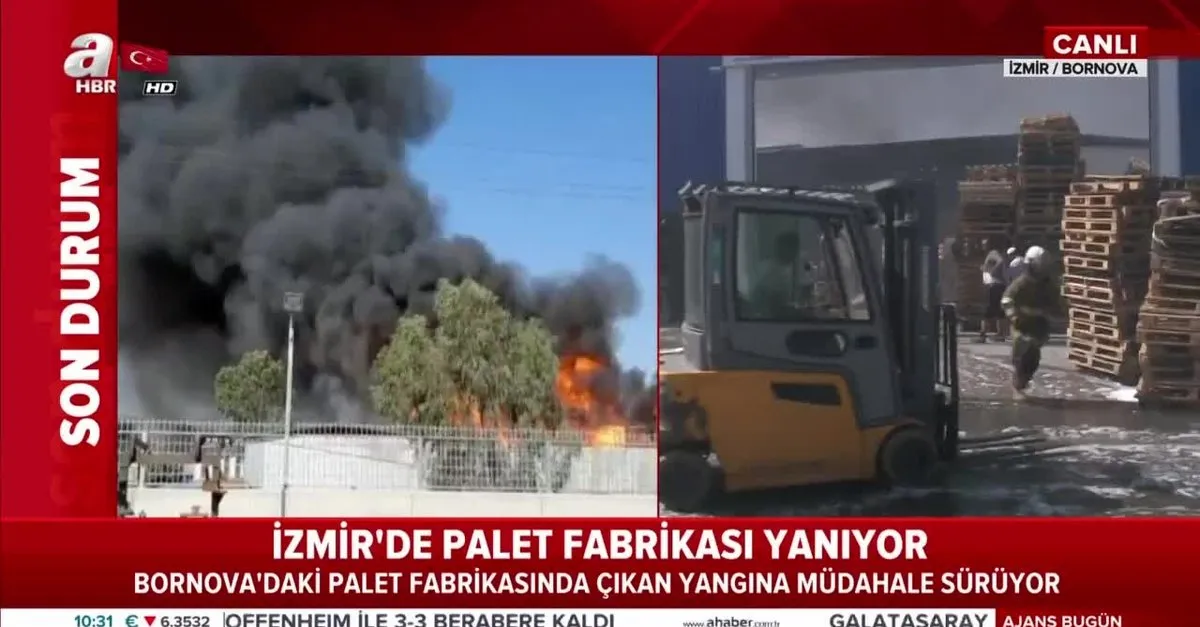Son Dakika Izmir De Palet Fabrikasinda Buyuk Yangin Videosunu Izle Takvim Tv