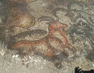 Mozaiğin sırrı açıklandı