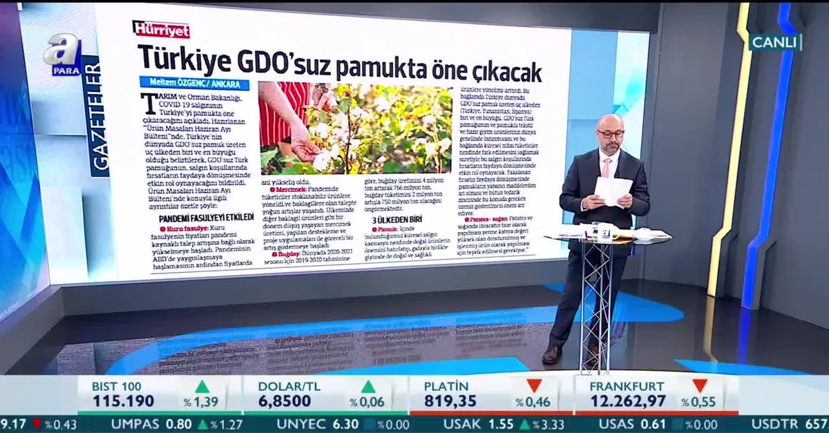 Türkiye GDO’suz pamukta öne çıkacak