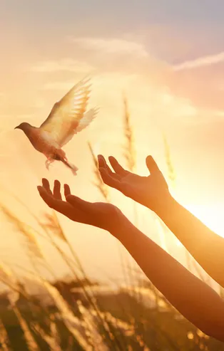 Cuma mesajları en yeni ve anlamlı 2022! 4 Şubat Cuma Whatsapp, SMS dualı, hadisli, resimli, resimsiz Cuma mesajları, sözleri!