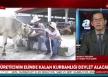 Son dakika: Bakan Pakdemirli'den elde kalan kurbanlıklarla ilgili flaş açıklama