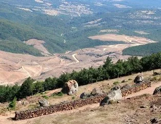 Altın arayan şirketin CEO’su iddialara yanıt verdi