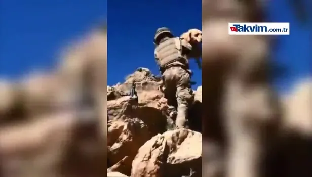Mehmetçik 'Yay' ile dağlarda terörist avında