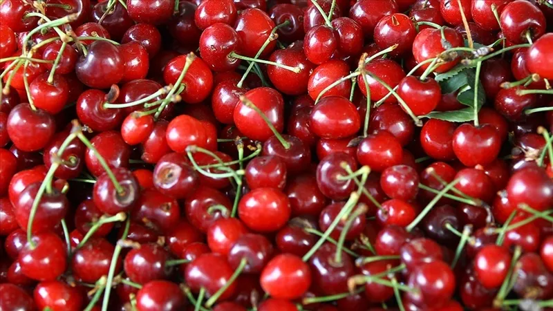 ibrahim-saracoglu-gaz-agrisi-cekenler-icin-acikladi-bu-cayi-icenin-agrilari-hemen-kesiliyor-1724156081253.jpg İbrahim Saraçoğlu gaz ağrısı çekenler için açıkladı! Bu çayı içenin ağrıları hemen kesiliyor-3