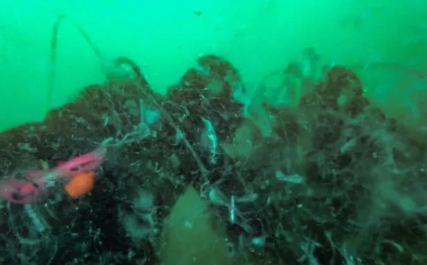 SON DAKİKA: Çevre ve Şehircilik Bakanı Murat Kurum: Toplamda 3288,2 metreküp müsilaj toplandı-5