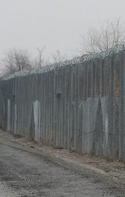 Macaristan'dan skandal bir karar daha!