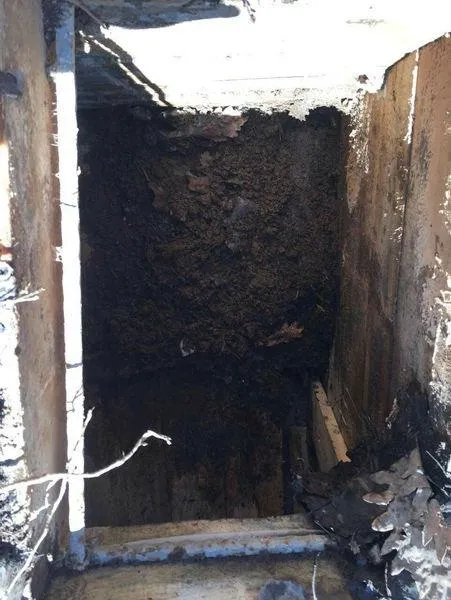 Tunceli'de PKK'ya darbe üstüne darbe-5