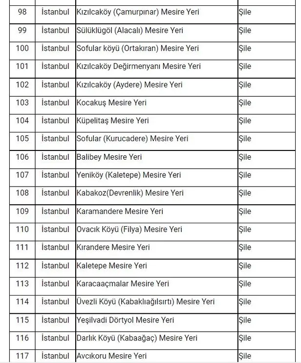 Son dakika: İstanbul'da ormanlara giriş yasağı! Vali Yerlikaya duyurdu: Ormanlara giriş yasağı 31 Temmuz'a kadar sürecek! İşte mangal yapmanın yasak olduğu yerler...-13