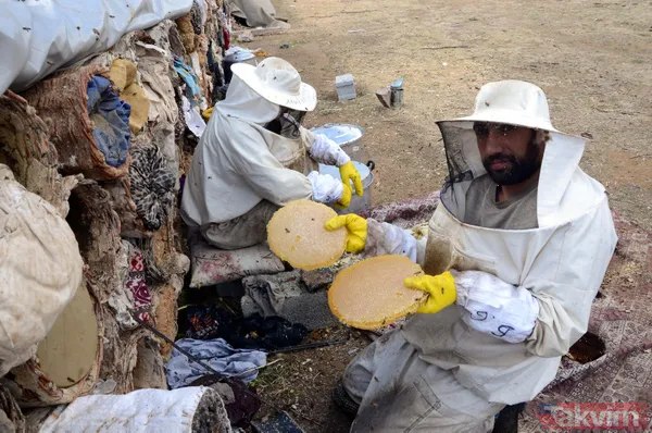 Kilosu 350 TL! 3 bin rakımda üretilen karakovan balından bu yıl 250 ton bekleniyor - 9