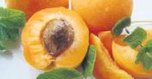 Kansızlığa kayısı