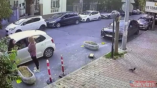 İstanbul’da kedisinin tıraşını beğenmeyen kadın veteriner teknikerine saldırdı - 1