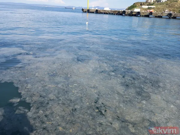 Bozcaada'da müsilaj var mı? Sahillerin temizlenmesi turizmcileri heyecanlandırdı - 15