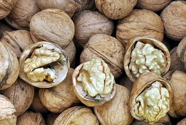 Balık ceviz sakinleriz