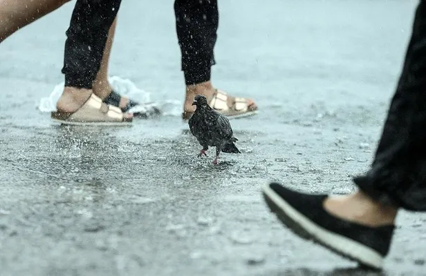 Son dakika: Meteoroloji'den İstanbul'a sağanak yağış uyarısı | 21 Ağustos hava durumu-4