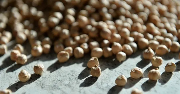 Saçlarını güçlendirmek isteyen nohut yesin