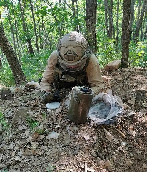 Son dakika: Bingöl'de PKK'ya bir darbe daha: Teröristlere ait EYP ele geçirildi-1