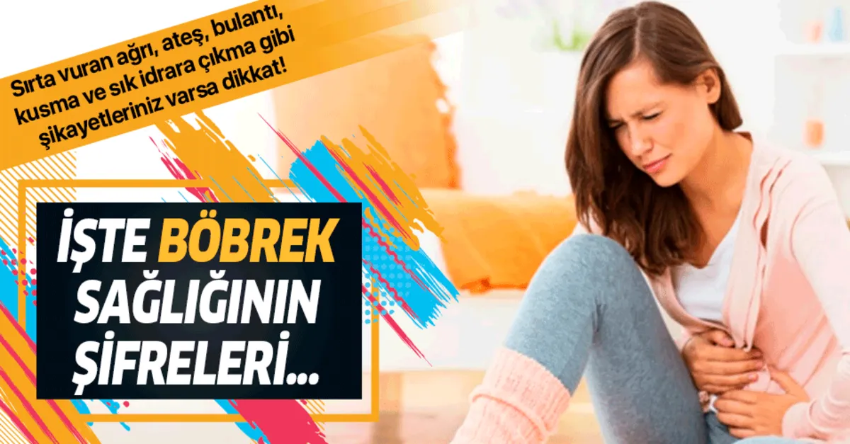 bobrek iltihabina bal gibi cozum