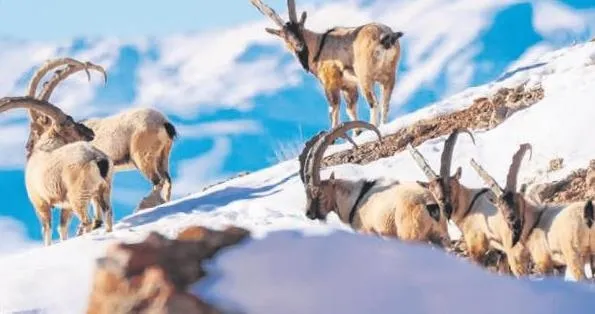 Yıkılmadı ayağa kalktı! Asrın felaketinde 84 saat enkaz altında kalmıştı: Hayata yeniden tutundu!-3
