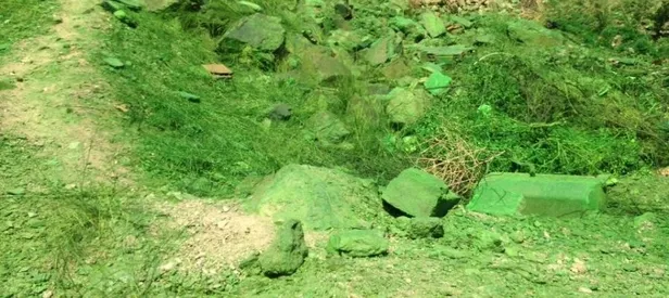 CHP'li belediye dağ yamacını yeşile boyadı