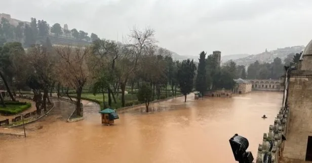Son dakika: Bakan Soylu: Şanlıurfa ve Adıyaman'da can kaybı 18'e yükseldi