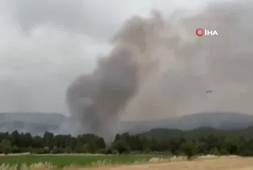 Muğla’da orman yangını