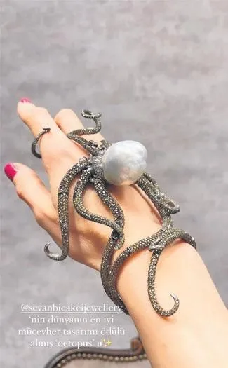 Kıvanç Tatlıtuğ, kalitesinden ödün vermiyor: Sevan Bıçakçı'dan eşi ve kendisi için 250 bin TL'lik aksesuar siparişi-2