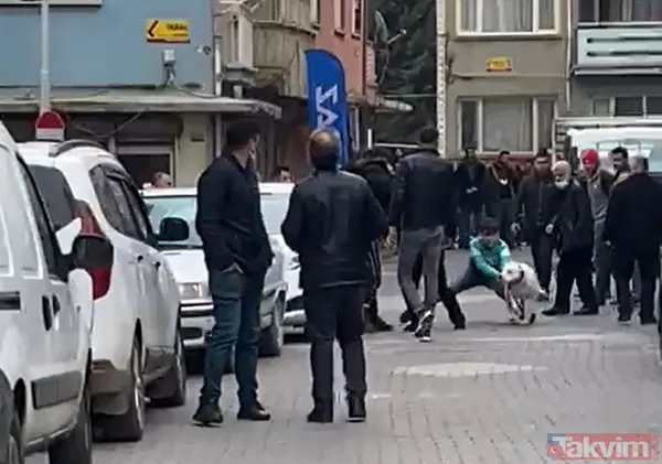 Malatya'da 'pitbull'lu dehşet! Kavga ettiği kişilerin üzerine köpeği saldı: 3 yaralı - 17