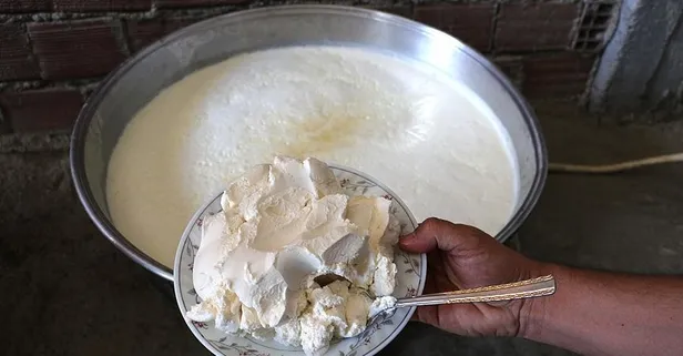 Derde deva probiyotik! İşte faydaları...