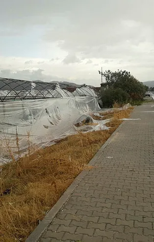 Antalya'da dolu yağışı! Ağaçlarda yaprak kalmadı