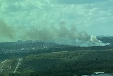 Sultangazi’de orman yangını
