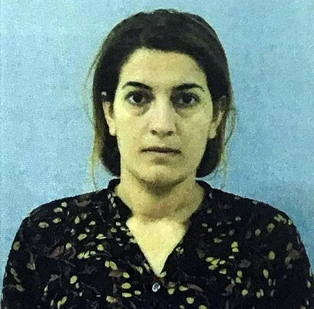 PKK’nın ‘Güvenli Ev’ hücresine baskın-1