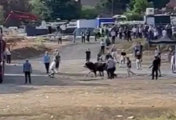 ortalik-karisti-kacan-kurbanliklar-vatandaslara-zor-anlar-yasatti-1687934733249.jpg Ortalık karıştı: Kaçan kurbanlıklar vatandaşlara zor anlar yaşattı-2