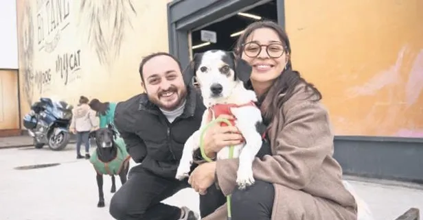 Türkiye'nin ilk evcil hayvan AVM'si İstanbul'da açıldı