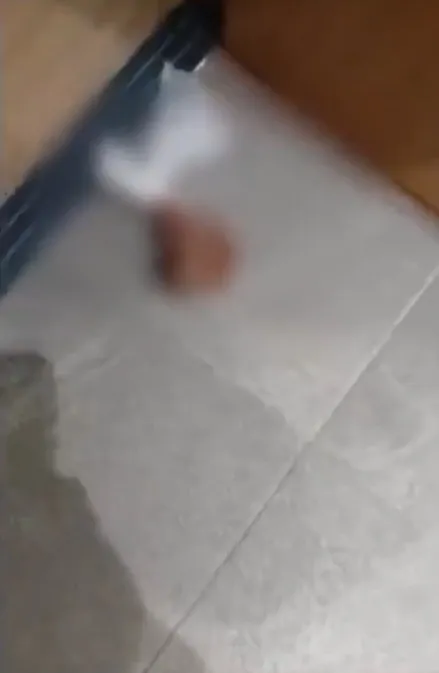 siyasi-husumetin-boylesi-chpliler-chp-istanbul-il-binasindaki-makam-koltuguna-iseyip-diskiladi-1763030957333.jpeg Siyasi husumet "pis"leşti! CHP'liler CHP İstanbul İl Binası'na işeyip dışkıladı: Gürsel Tekin "bu ilk değil" dedi-4