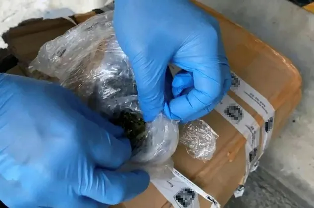 Kargodan zehir çıktı! Tam 48 kilo 500 gram...