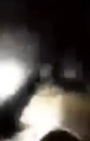 Pençe-Kilit Operasyonu'nda nefes kesen anlar! Mağaradaki teröristleri dedektör köpek buldu