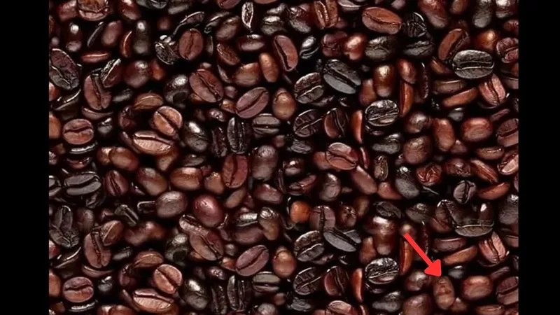 ilk-bakista-kimse-goremiyor-sadece-8-saniyede-kahve-cekirdeklerinin-arasindaki-gizli-yuzu-bul-1772110740397.jpg İlk bakışta kimse göremiyor! Sadece 8 saniyede kahve çekirdeklerinin arasındaki gizli yüzü bul-4