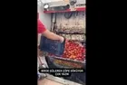 Ticaret Bakanlığı düğmeye bastı! Kasa kasa domatesleri çöpe döken işletmeye ağır ceza